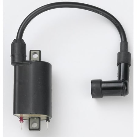 Kohler Coil Ignition 24 519 02-S